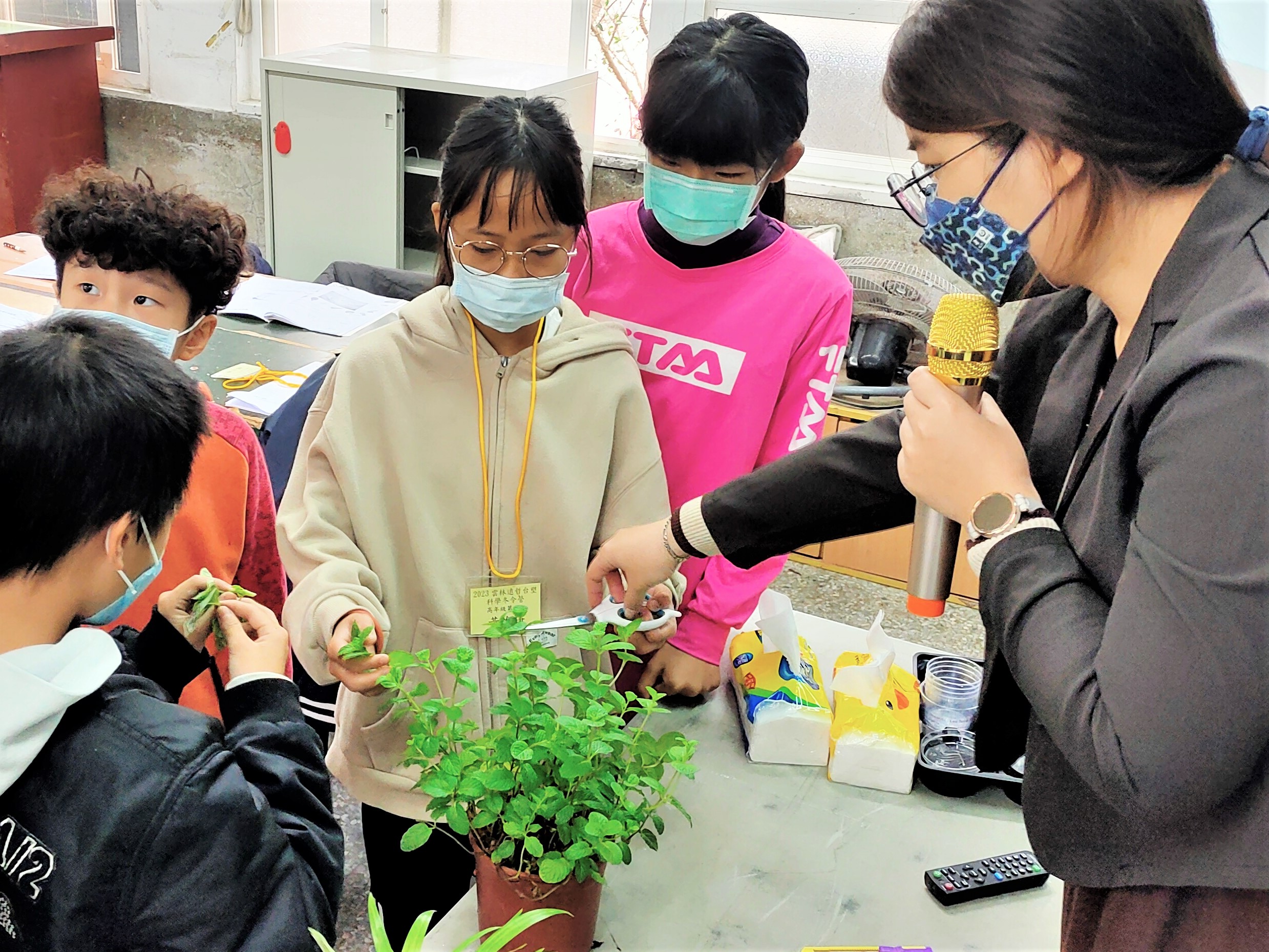 找出薄荷枝的生長節點.jpg