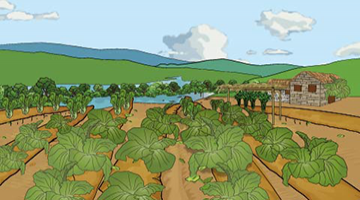 The wisdom of FPG's grandma from growing vegetables