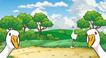 Learning important principles from raising geese